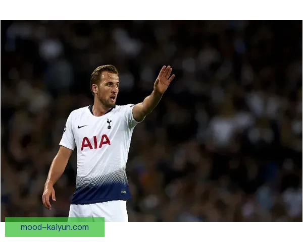 哈里·凯恩伤停影响深远，热刺未来几场比赛竞争力面临考验