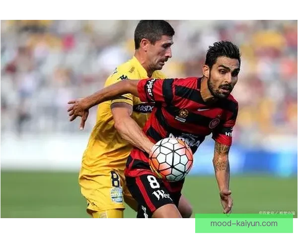 戴伟浚传球能力持续提升，近期表现稳健引发关注